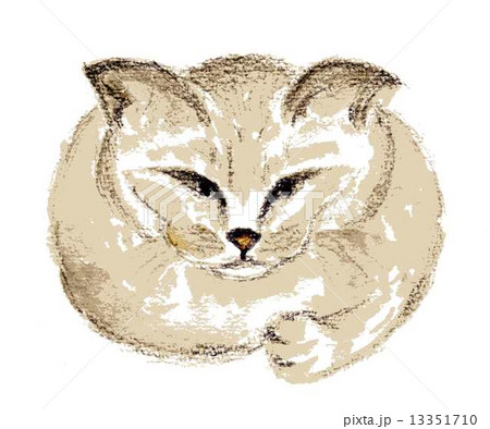 ねこ(手描きイラスト) ねこ(手描きイラスト) 13351710