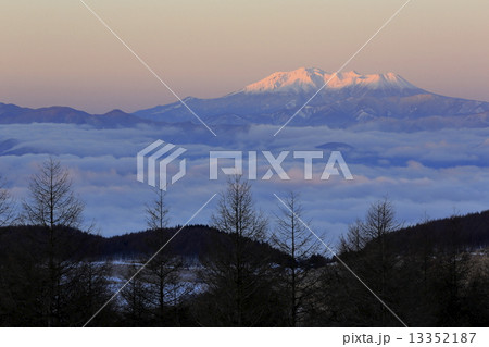朝焼けの御嶽山 朝焼けの御嶽山 13352187