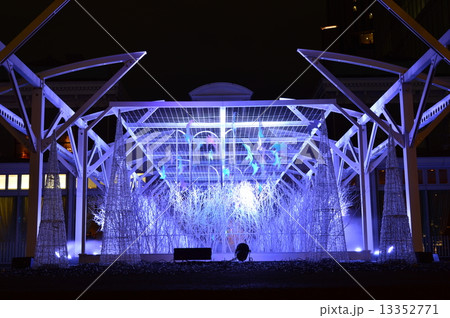 汐留イルミネーション 汐留イルミネーション 13352771
