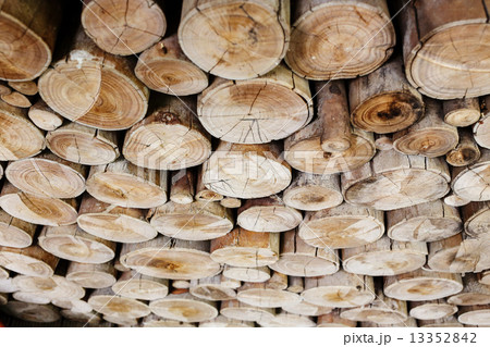 wood logs for industry 13352842