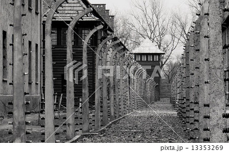 アウシュビッツ 13353269