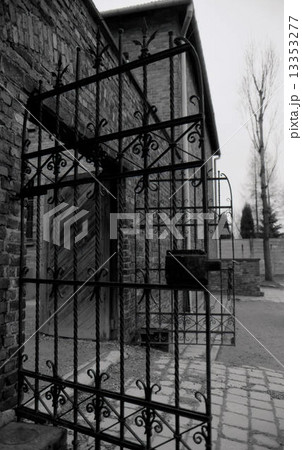 アウシュビッツ アウシュビッツ 13353277