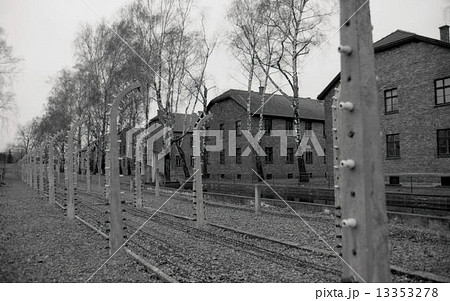 アウシュビッツ 13353278