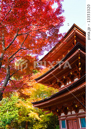 浄瑠璃寺 三重塔と紅葉(近景) 浄瑠璃寺 三重塔と紅葉(近景) 13353320
