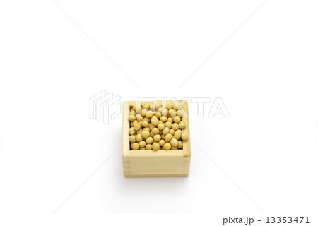 節分 13353471