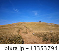 天狗高原 13353794