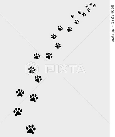 Footprints Of Catのイラスト素材