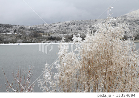 氷の芸術 13354694