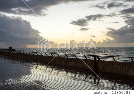 Tel-Aviv shore 13356293