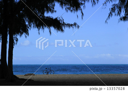 ワイマナロ・ビーチの自転車 オアフ島 ワイマナロ・ビーチの自転車 オアフ島 13357028