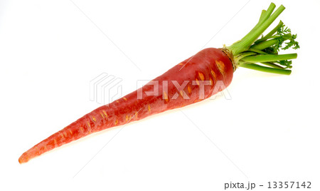 人参 人参 13357142