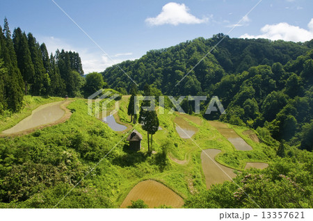 田植えを待つ棚田 13357621