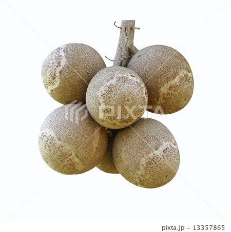cannonball fruits cannonball fruits 13357865