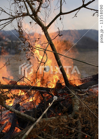 鬼火焚きで焼く餅 鬼火焚きで焼く餅 13358090