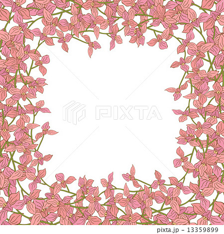 Square orchid frame Square orchid frame 13359899