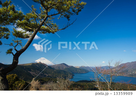 芦ノ湖と松と富士山 芦ノ湖と松と富士山 13359989