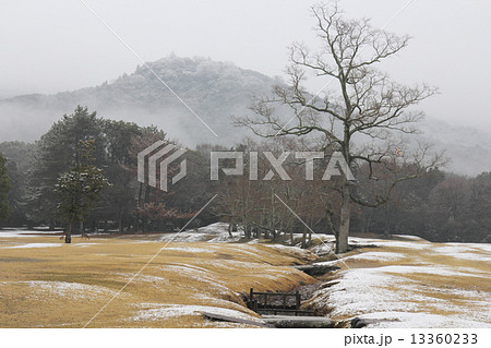 雪化粧の飛火野と春日山 13360233