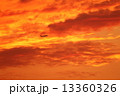 夕焼け 13360326