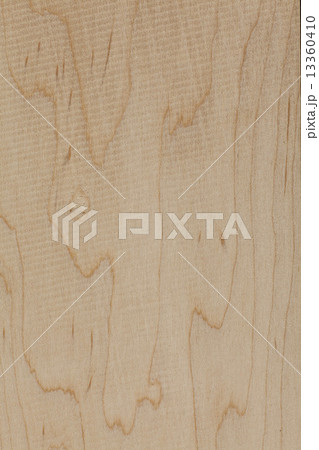 木表面素材（カエデ） 13360410