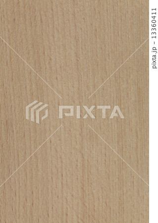 木表面素材（ブナ／ビーチ） 13360411