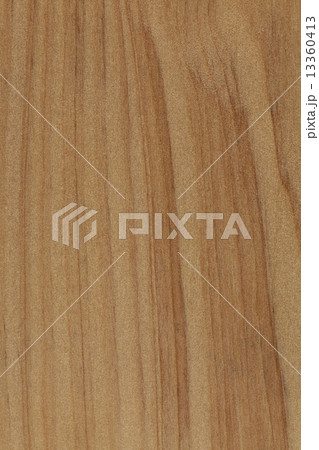 木表面素材（アガチス） 13360413