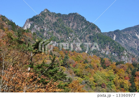 紅葉の西沢渓谷より鶏冠山 13360977
