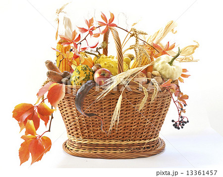 harvest basket harvest basket 13361457