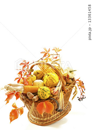harvest basket 13361458