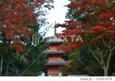 総社市の宝福寺三重塔と紅葉 13361979