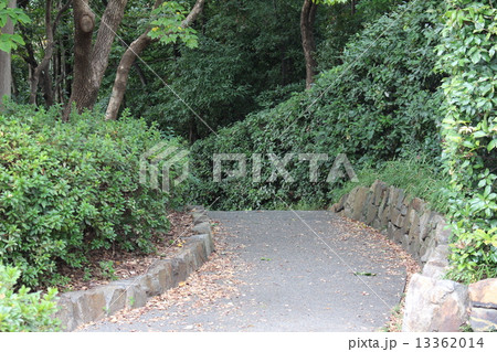 細道の奥 細道の奥 13362014