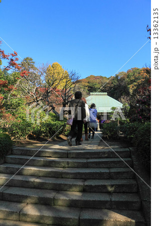 浄妙寺の紅葉 浄妙寺の紅葉 13362135