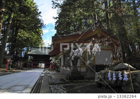 浅間神社の冬 13362264