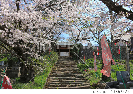春の大龍寺山門 春の大龍寺山門 13362422