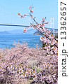 来島海峡大橋2 13362657