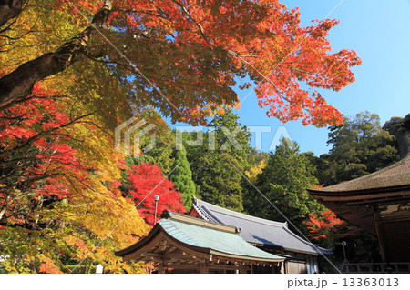 湖東三山西明寺の紅葉 13363013