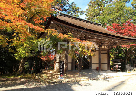 湖東三山西明寺の紅葉 13363022