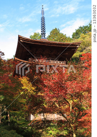 金剛輪寺三重塔と秋の紅葉 金剛輪寺三重塔と秋の紅葉 13363032