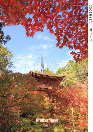 金剛輪寺三重塔と秋の紅葉 金剛輪寺三重塔と秋の紅葉 13363039