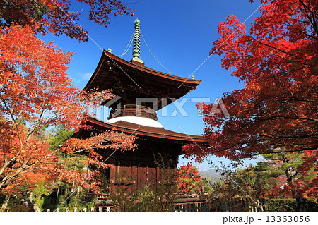 秋の常寂光寺 秋の常寂光寺 13363056