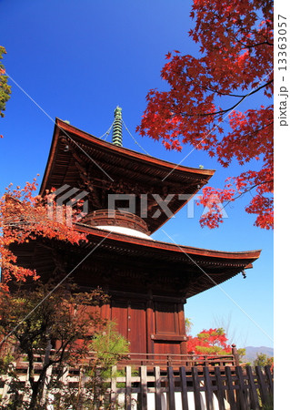 秋の常寂光寺 13363057