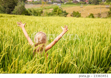 little girl on the rice paddies little girl on the rice paddies 13363451