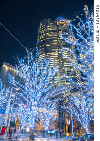 六本木けやき坂・イルミネーション 13364015