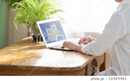 パソコンと女性 パソコンと女性 13364463