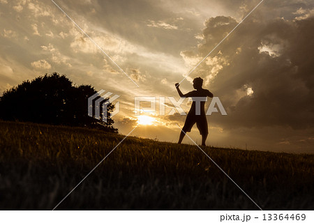 シルエット 13364469