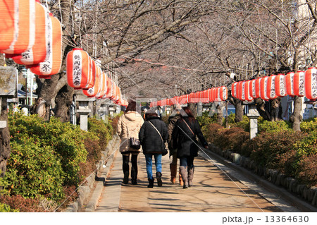 鶴岡八幡宮の厄除大祭 13364630