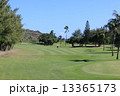 ハワイゴルフ 13365173