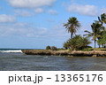 ハレイワビーチ 13365176