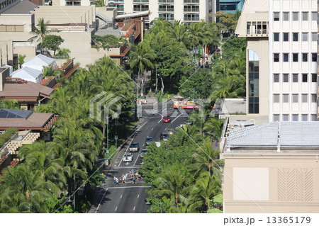 カラカウア通り 13365179