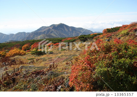 白山より別山を望む 秋 13365357