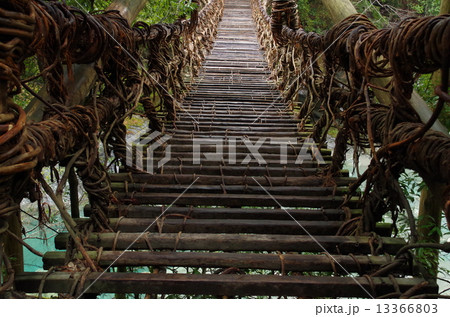 祖谷のかずら橋 祖谷のかずら橋 13366803